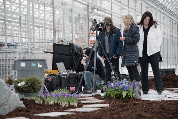 Michael Indresano Photography _ BJs Photo Shoot_Flowers