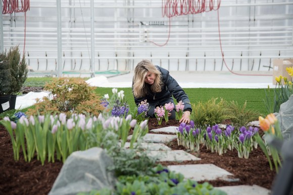 Michael Indresano Photography_BJs Photo Shoot_ Flowers