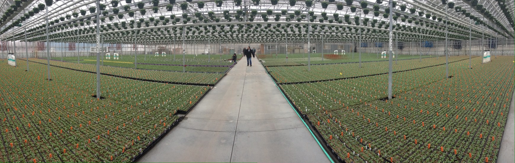 MichaelIndresanoPhotography_BJsPhotoShoot_Flowers