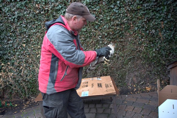 michael indresano photography